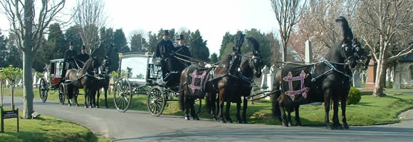 mourners coach from cooks carriages essex on hire